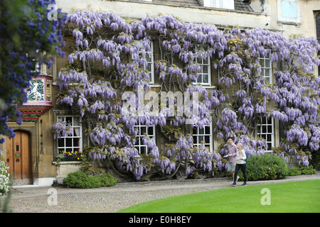 STUDENTS WALKING PAST THE WISTERIA  ON THE MASTER'S LODGE AT CHRIST'S COLLEGE CAMBRIDGE Stock Photo