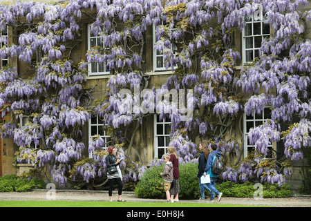 STUDENTS WALKING PAST THE WISTERIA  ON THE MASTER'S LODGE AT CHRIST'S COLLEGE CAMBRIDGE Stock Photo