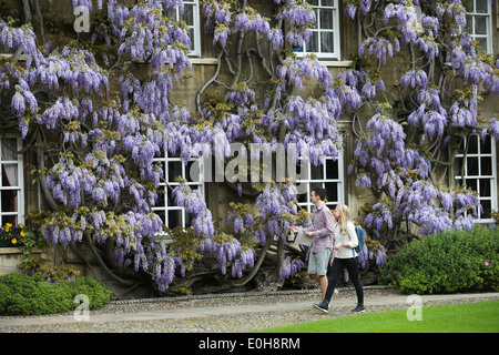 STUDENTS WALKING PAST THE WISTERIA  ON THE MASTER'S LODGE AT CHRIST'S COLLEGE CAMBRIDGE Stock Photo