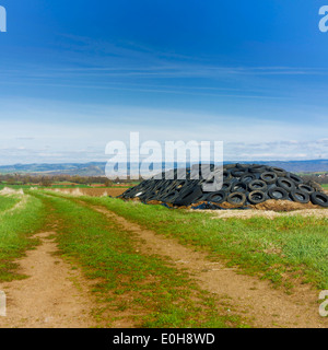 Old tires dumped in the midst of nature Stock Photo