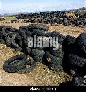 Old tires dumped in the midst of nature Stock Photo