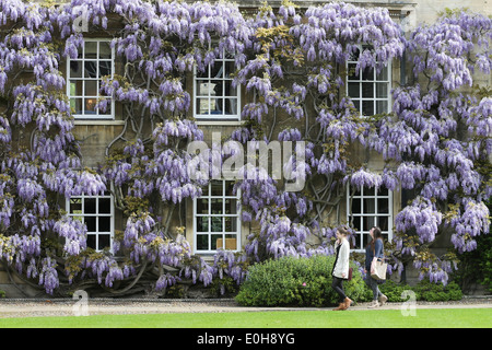 STUDENTS WALKING PAST THE WISTERIA  ON THE MASTER'S LODGE AT CHRIST'S COLLEGE CAMBRIDGE Stock Photo