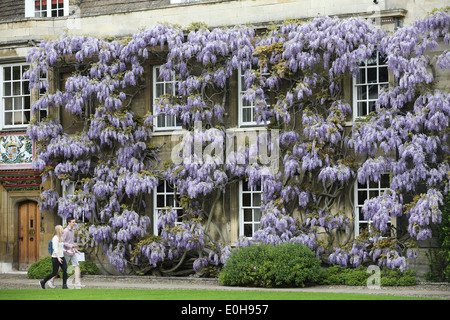 STUDENTS WALKING PAST THE WISTERIA  ON THE MASTER'S LODGE AT CHRIST'S COLLEGE CAMBRIDGE Stock Photo