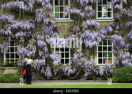 STUDENTS WALKING PAST THE WISTERIA  ON THE MASTER'S LODGE AT CHRIST'S COLLEGE CAMBRIDGE Stock Photo