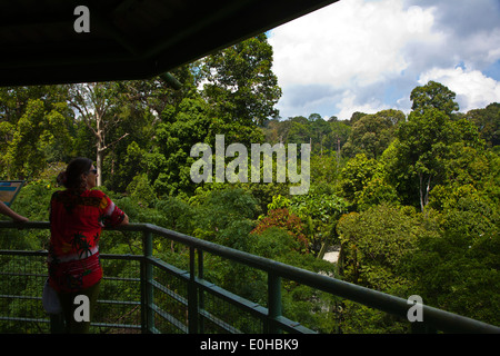 Viewing towers above the 90 foot high CANOPY WALKWAY at the RAINFOREST DISCOVERY CENTER in the KABILI SEPILOK FOREST - BORNEO Stock Photo