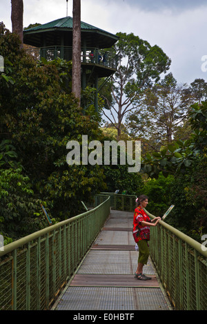 Viewing towers above the 90 foot high CANOPY WALKWAY at the RAINFOREST DISCOVERY CENTER in the KABILI SEPILOK FOREST - BORNEO Stock Photo