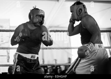 (140514) -- MEXICO CITY, May 14, 2014 (Xinhua) -- Federal policeman Francisco Javier Ruiz Garcia (R) and marine Luis Felipe 'El Choco' Garcia fight during the First Tournament of Boxing for Policemen which is organized by the World Boxing Council and the National Sports Commission (CONADE, for its acronym in Spanish) at the command center of Federal Police of Mexico, in Mexico City, capital of Mexico, on May 13, 2014. At least 160 members of the Federal Police, Secretary of National Defense (SEDENA, for its acronym in Spanish), Secretary of Marine (SEMAR, for its acronym in Spanish), and state Stock Photo