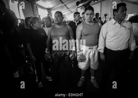 (140514) -- MEXICO CITY, May 14, 2014 (Xinhua) -- Federal policeman Francisco Javier Ruiz Garcia (L-center) and marine Luis Felipe 'El Choco' Garcia (R-center) prepare for their fight during the First Tournament of Boxing for Policemen which is organized by the World Boxing Council and the National Sports Commission (CONADE, for its acronym in Spanish) at the command center of Federal Police of Mexico, in Mexico City, capital of Mexico, on May 13, 2014. At least 160 members of the Federal Police, Secretary of National Defense (SEDENA, for its acronym in Spanish), Secretary of Marine (SEMAR, fo Stock Photo