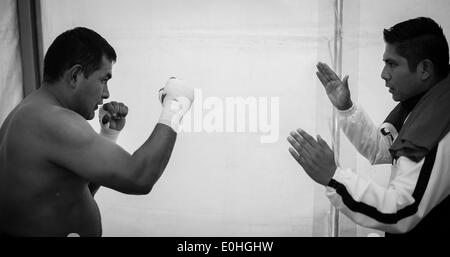 (140514) -- MEXICO CITY, May 14, 2014 (Xinhua) -- Marine Luis Felipe 'El Choco' Garcia (L) prepares for his participation in the First Tournament of Boxing for Policemen which is organized by the World Boxing Council and the National Sports Commission (CONADE, for its acronym in Spanish) at the command center of Federal Police of Mexico, in Mexico City, capital of Mexico, on May 13, 2014. At least 160 members of the Federal Police, Secretary of National Defense (SEDENA, for its acronym in Spanish), Secretary of Marine (SEMAR, for its acronym in Spanish), and state and municipal police partici Stock Photo