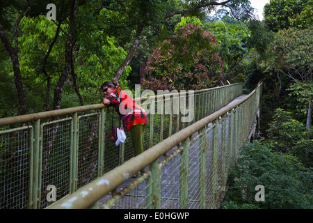 The CANOPY WALKWAY at the RAINFOREST DISCOVERY CENTER in the KABILI SEPILOK FOREST - SABAH, BORNEO Stock Photo