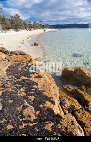 Cooks Beach in Freycinet National Park Stock Photo