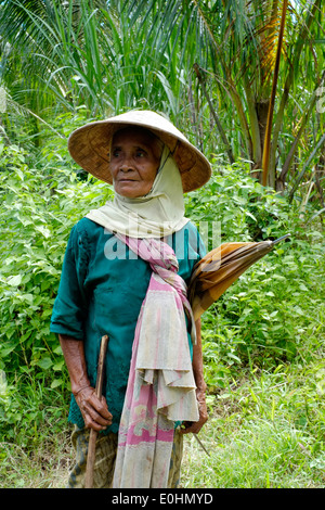 elderly local lady wearing traditional conical straw hat walks a long road home after working in the fields east java indonesia Stock Photo