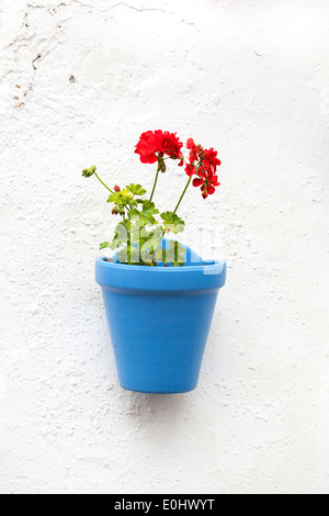 Potted flowers hang in the wall of Carmen Street in Marbella old town (Malaga, Spain). Stock Photo