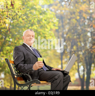 Mature businessman working on a laptop in park Stock Photo