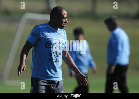 Montevideo, Uruguay. 14th May, 2014. Player of the Uruguayan national football team Egidio Arevalo Rios attends a training sesion prior to the 2014 FIFA World Cup Brazil, in the High Performance Complex Uruguay Celeste, in Montevideo, capital of Uruguay, on May 14, 2014. Credit:  Nicolas Celaya/Xinhua/Alamy Live News Stock Photo