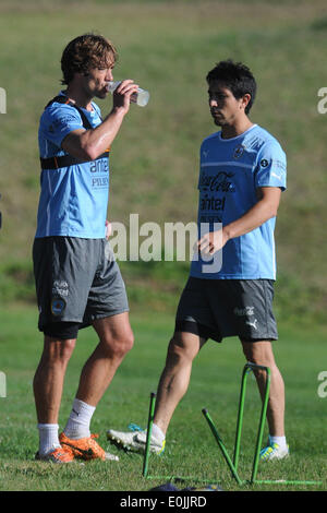 Montevideo, Uruguay. 14th May, 2014. Players of the Uruguayan national football team Diego Lugano (L) and Jorge Fucile attend a training sesion, prior to the 2014 FIFA World Cup Brazil, in the High Performance Complex Uruguay Celeste, in Montevideo, capital of Uruguay, on May 14, 2014. Credit:  Nicolas Celaya/Xinhua/Alamy Live News Stock Photo