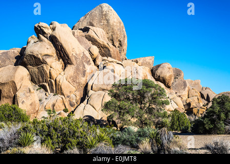 Live Oak rest area. Rock formation called 'The Pope's Hat.' Joshua Tree National Park, California, United States. Stock Photo