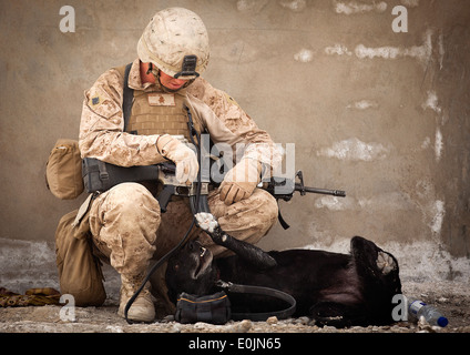 U.S. Marine Lance Cpl. Evan Frickey, a 21-year-old improvised explosive device detection dog handler with 3rd Platoon, Kilo Com Stock Photo