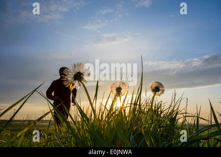 Cowpen Bewley Woodland Park, Billingham, UK. 15th May, 2014. Jogger at sunrise on a glorious Thursday morning. Temperatures continue to rise across the UK with Friday forecast to be the warmest day of the year so far. Credit:  ALANDAWSONPHOTOGRAPHY/Alamy Live News Stock Photo