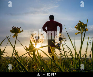 Cowpen Bewley Woodland Park, Billingham, UK. 15th May, 2014. Jogger at sunrise on a glorious Thursday morning. Temperatures continue to rise across the UK with Friday forecast to be the warmest day of the year so far. Credit:  ALANDAWSONPHOTOGRAPHY/Alamy Live News Stock Photo