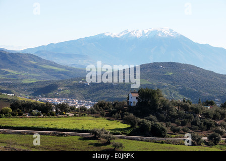 View across countryside towards the Snow capped Sierra Almijara mountains, Colmenar, Andalusia, Spain, Western Europe. Stock Photo