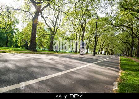 Hyde Park, Cycling on Broad Walk, London London, UK Stock Photo