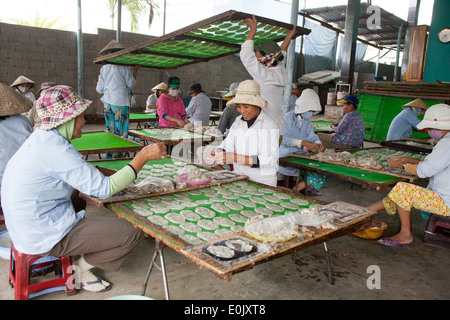 Fish Processing Factory Hoi An Vietnam Stock Photo