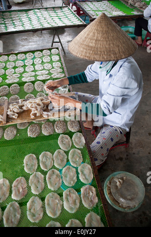 Fish Processing Factory Hoi An Vietnam Stock Photo