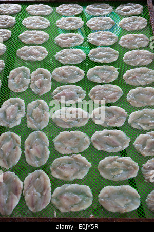 Drying Rack at Fish Processing Factory Hoi An Vietnam Stock Photo