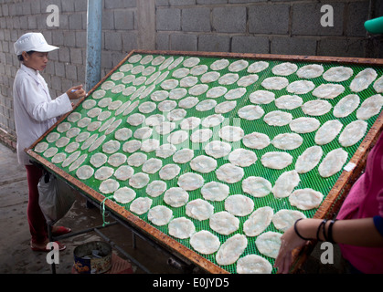 Fish Processing Factory Hoi An Vietnam Stock Photo