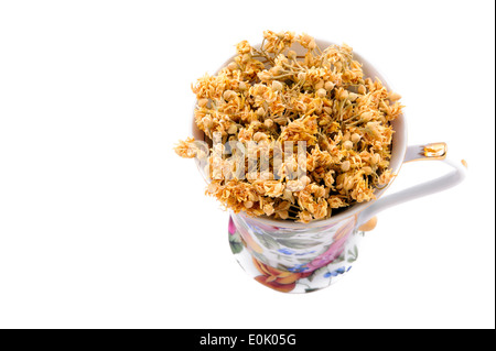 dry linden macro in mug Isolated on white background Stock Photo