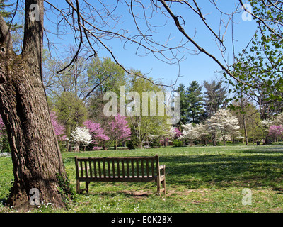 Mansion grounds of the Henry Clay estate,Ashland,Lexington,Kentucky Stock Photo