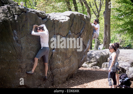 Bouldering enthusiasts on Rat Rock in Central Park in New York on Sunday, May 11, 2014. (© Richard B. Levine) Stock Photo