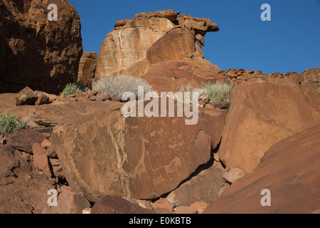 Rock engravings at Twyfelfontein, a UNESCO World Heritage Site in Damaraland, Namibia Stock Photo