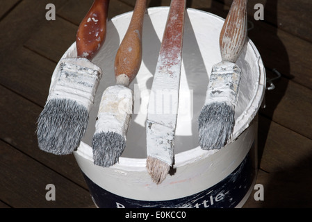 A professional painter and decorators paint brushes on the edge of a painters kettle Stock Photo