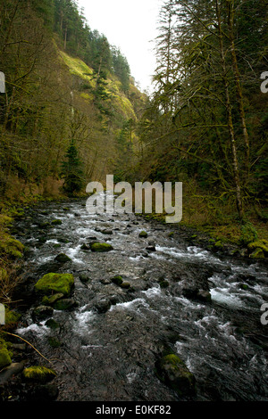 Tanner Creek flows from Wachlella Falls in Multnomah County Oregon. Stock Photo