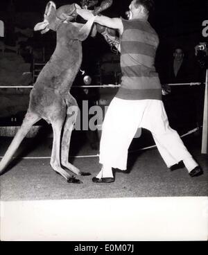 Dec. 20, 1952 - Paris Circus Stars Boxing Kangaroo: Sydney, the boxing ...