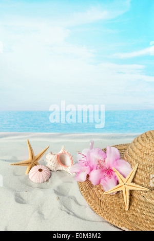 Sun hat and sea shells lying on a white sandy beach Stock Photo