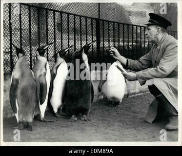 Dec. 12, 1953 - Ready For The Census At The London Zoo: Photo Shows Keeper Jones of the Penguin compound - busily at work checking over his chargers at the London Zoo this morning in readiness for the annual Census.In front can bee seen ''Princess'' the Penguin Baby. Stock Photo