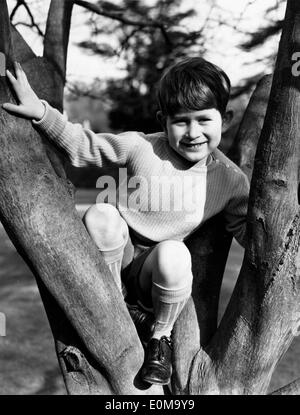 Young Prince Charles climbing a tree at the Royal Lodge Stock Photo