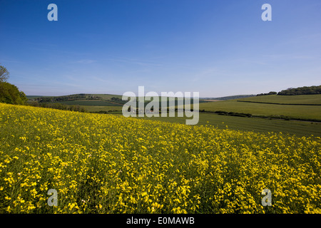 View across Long Furlong, Worthing, Clapham, West Sussex, England Stock Photo