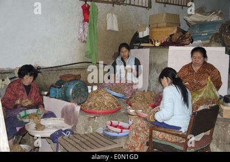 Jungshi carta fatta a mano in fabbrica, Thimphu, Bhutan, Asia Foto stock -  Alamy