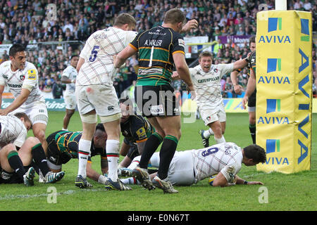 16.05.2014.  Northampton, England. Ben Youngs goes over to score Tigers second try in during the Aviva Premiership Play Off match between Northampton Saints and Leicester Tigers at Franklins Gardens. Stock Photo