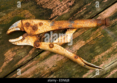 Rusty visegrip wooden board. Stock Photo