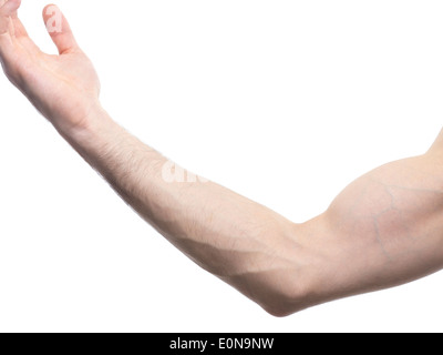 Man S Arm Bent At An Elbow Isolated On White Background Stock Photo Alamy