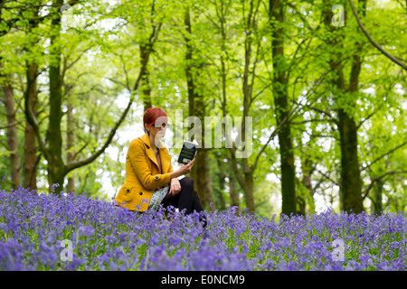 A girl in a yellow coat reads a book in a woods filled with bluebells on a bank holiday. Stock Photo