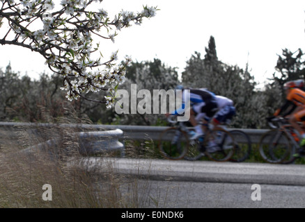 Cycling amongst flowered almond trees on Majorca´s roads, in the Spanish Balearic island Stock Photo