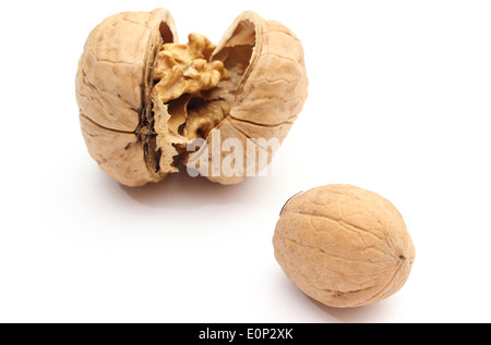 Closeup of whole brown fresh walnut and opened big walnut. Isolated on white background Stock Photo