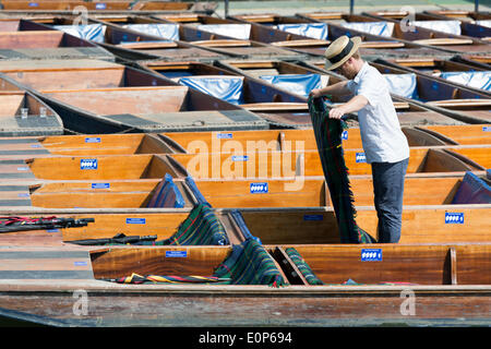 Cambridge UK , 18th May 2014. Staff at Scudamore's Boatyard prepare the punts for a busy Sunday punting on the River Cam, Cambridge UK as another warm sunny day is forecast.  The temperature is expected to reach 24 degrees centigrade.  Many tourists will take chauffeured punt trips along the river enjoying the sights of the historic University buildings.  Credit Julian Eales/Alamy Live News Stock Photo