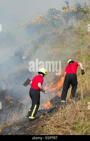 Firefighters tackling summer fire on Eston Hills near Middlesbrough. UK Stock Photo